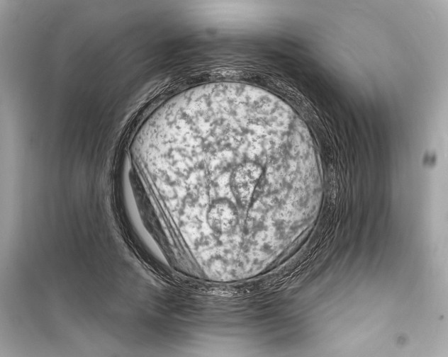 X0000098210738200805221626