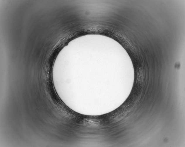 X0000098210739200805221626