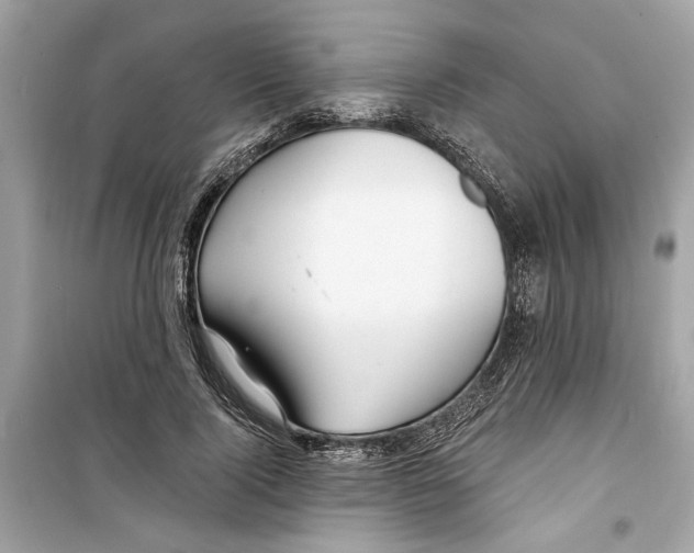X0000098210740200805221627