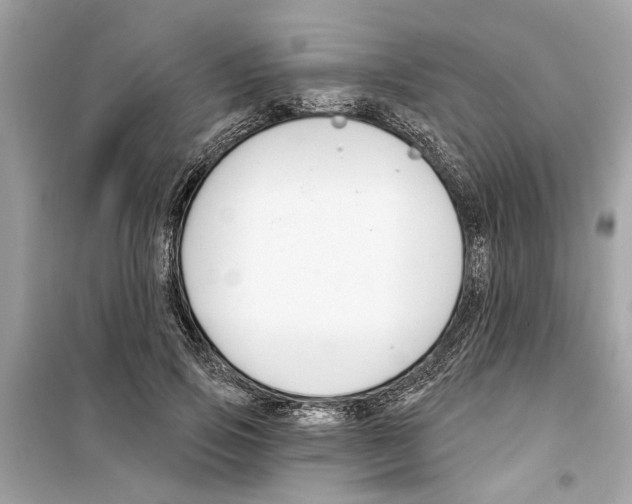 X0000098210741200805221627