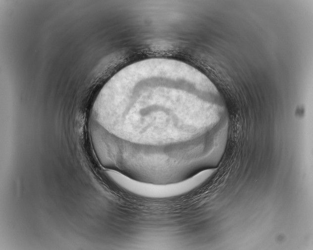 X0000098210742200805221627