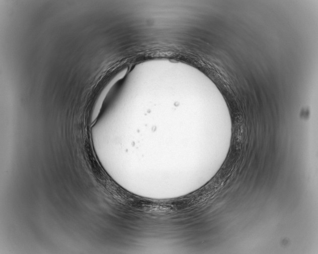 X0000098210743200805221627