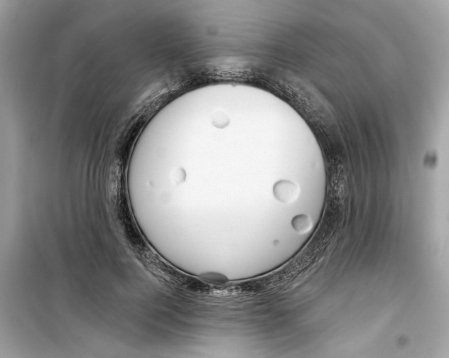 X0000098210744200805221627