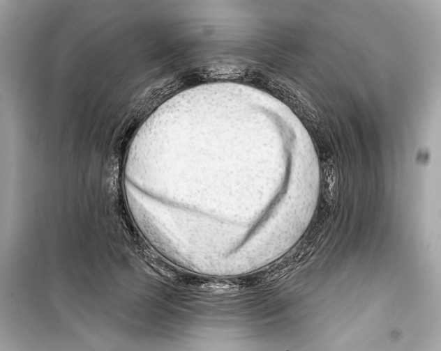 X0000098210745200805221627
