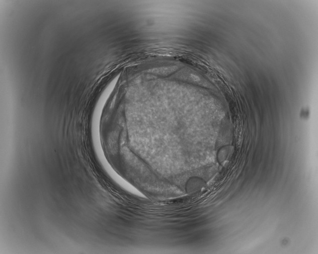X0000098210747200805221627
