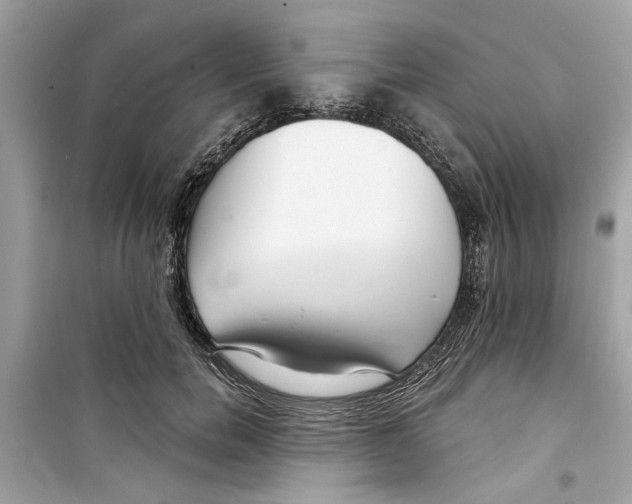 X0000098210750200805221627
