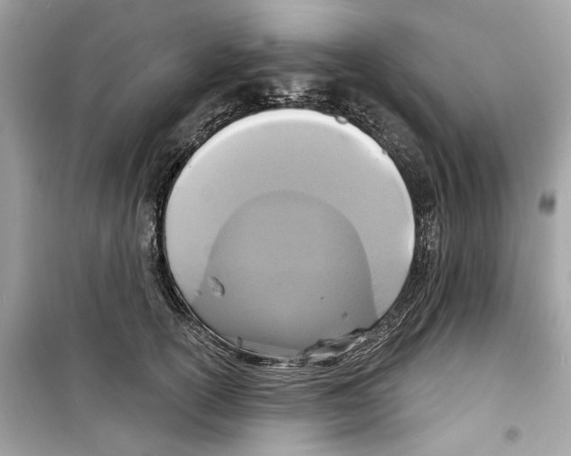 X0000098210754200805221627