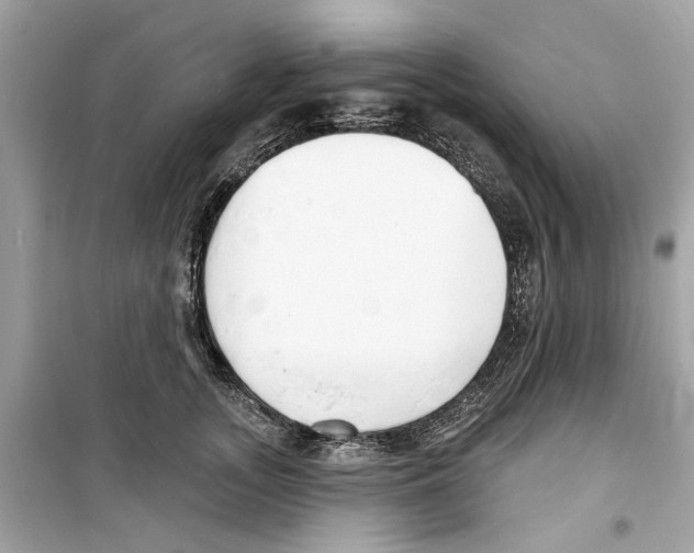 X0000098210755200805221627