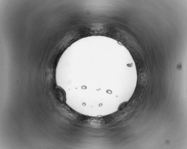 X0000098210756200805221627