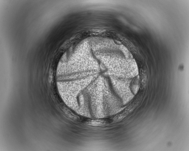 X0000098210758200805221627