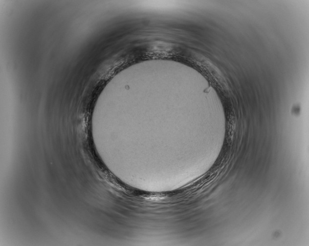 X0000098210759200805221627