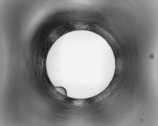 X0000098210761200805221627