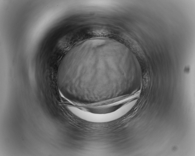 X0000098210762200805221627
