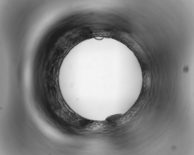 X0000098210764200805221627