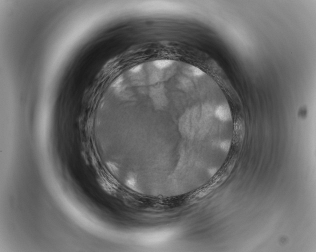 X0000098210765200805221627