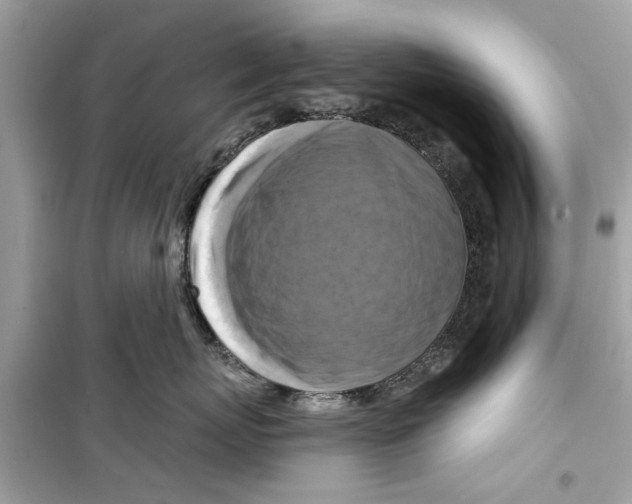 X0000098210767200805221627