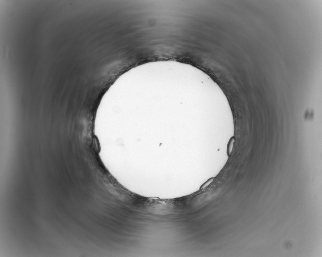 X0000098210768200805221627