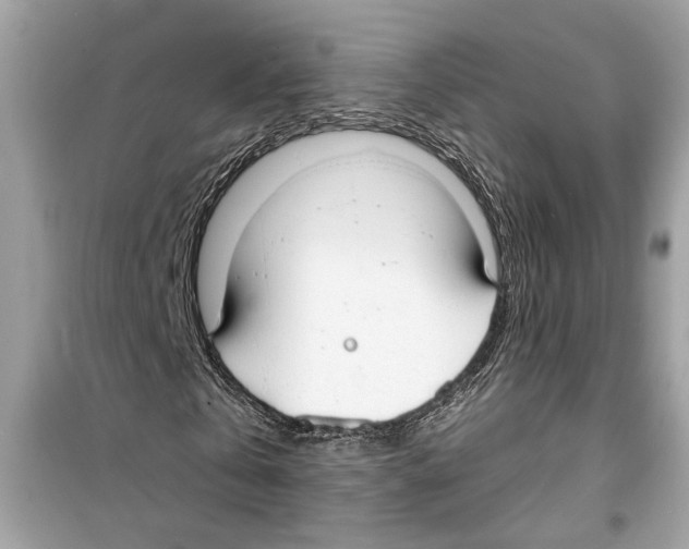 X0000098210769200805221626
