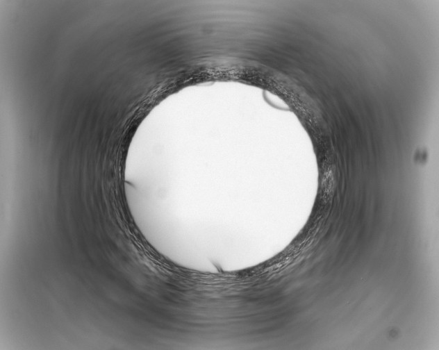 X0000098210772200805221626