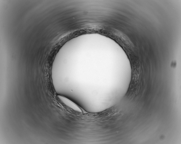 X0000098210773200805221626