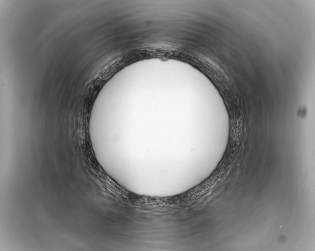 X0000098210774200805221626