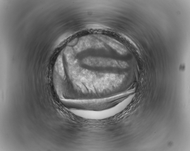 X0000098210775200805221626