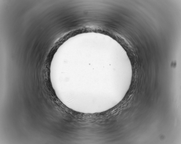 X0000098210776200805221626