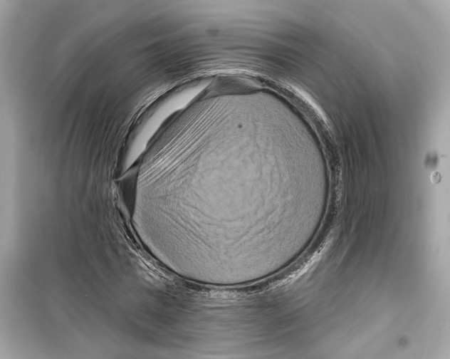 X0000098210777200805221626