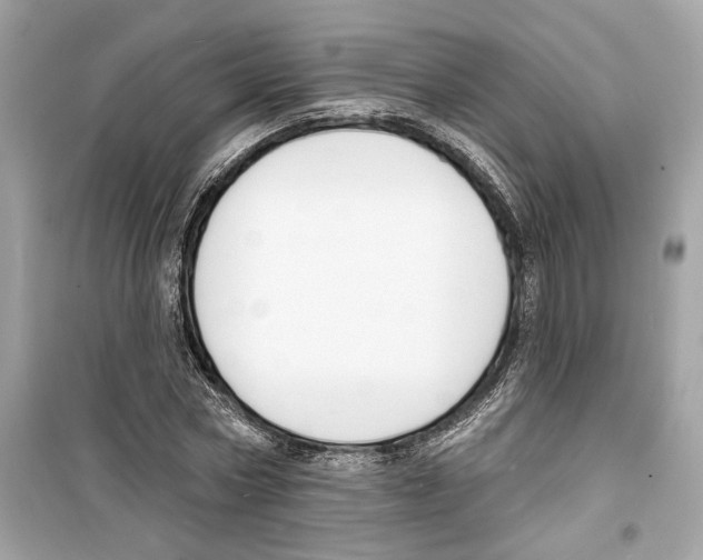 X0000098210778200805221626