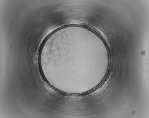 X0000098210779200805221626