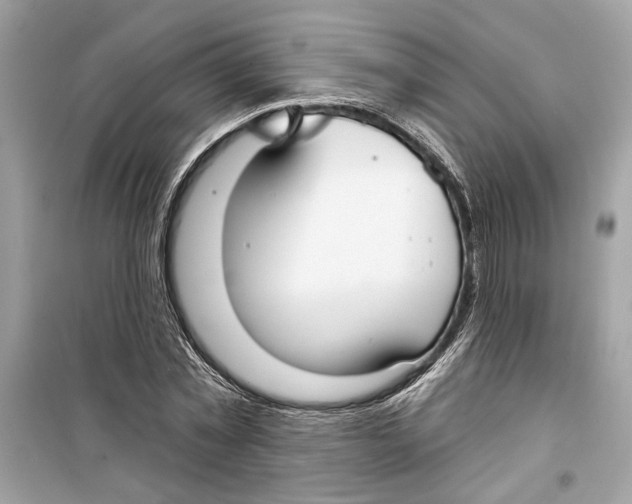 X0000098210781200805221626