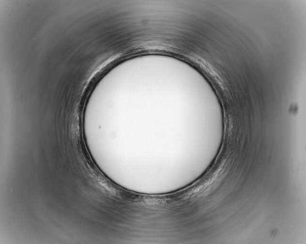 X0000098210782200805221626