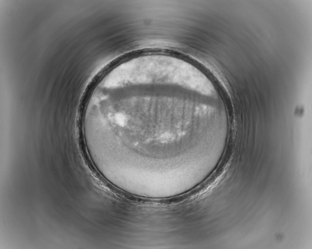 X0000098210783200805221626