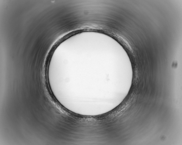 X0000098210784200805221626