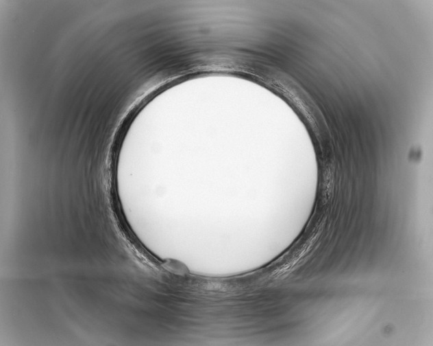 X0000098210787200805221626
