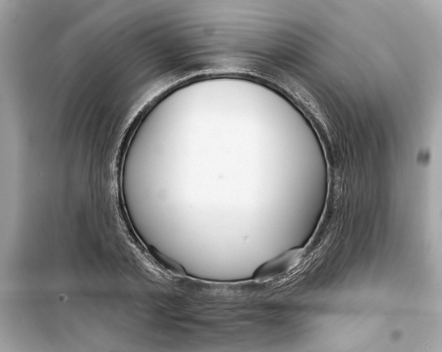 X0000098210789200805221626