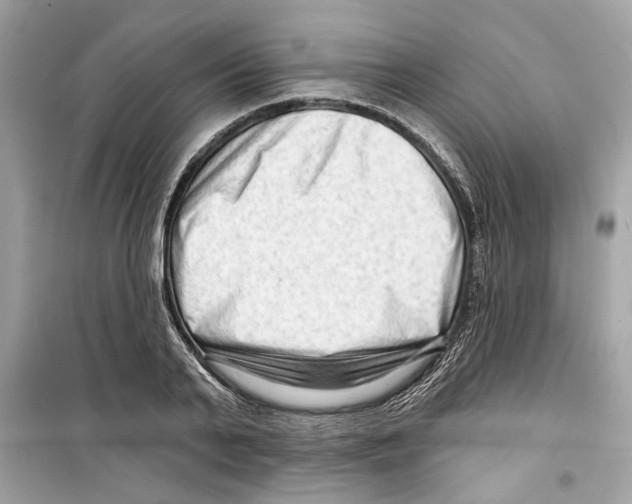 X0000098210791200805221626