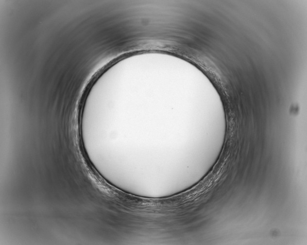 X0000098210792200805221626