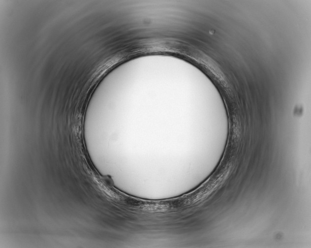 X0000098210793200805221626