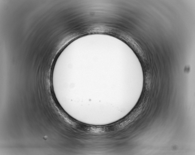 X0000098210794200805221626