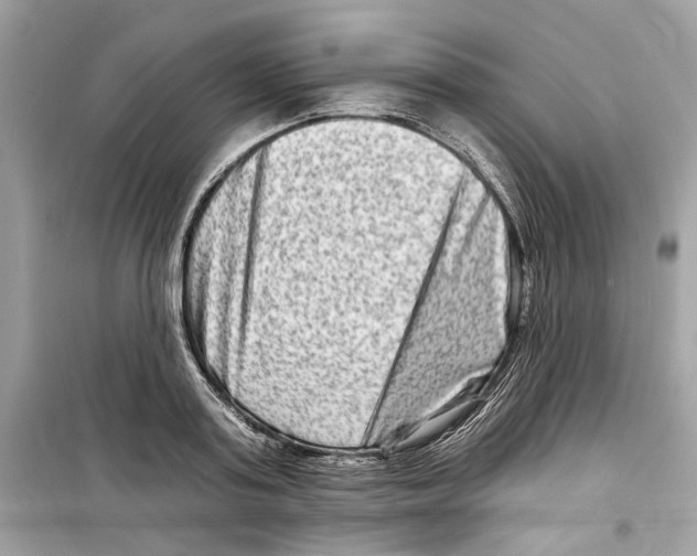 X0000098210795200805221626