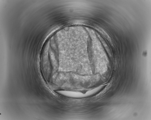 X0000098210798200805221626