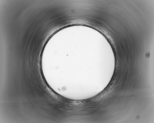X0000098210799200805221626