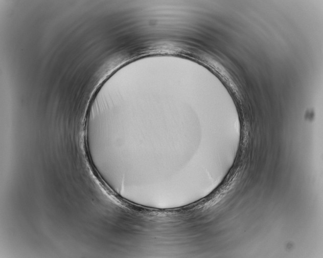 X0000098210802200805221626