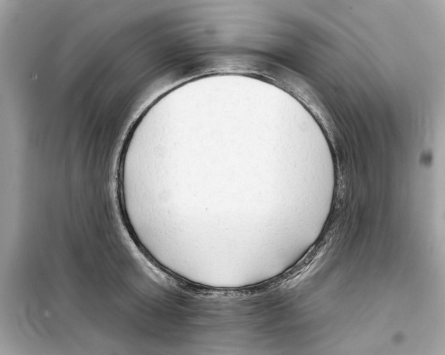 X0000098210803200805221626