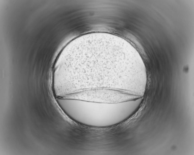 X0000098210804200805221626