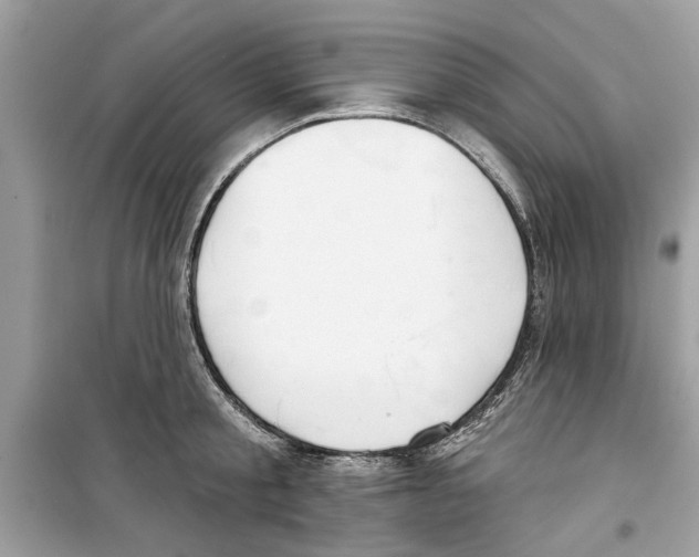 X0000098210805200805221626