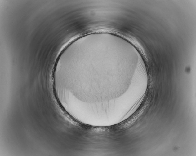 X0000098210806200805221626