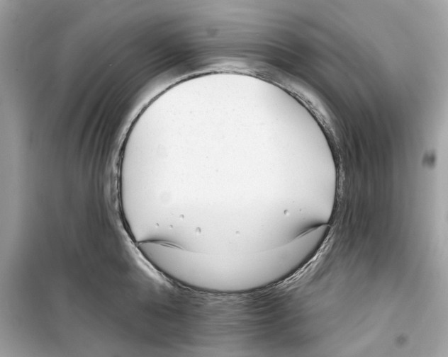 X0000098210808200805221626