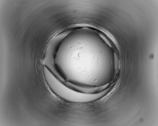X0000098210809200805221626
